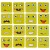 Gra edukacyjne wyzwania nauka emocji klocki drewniane
